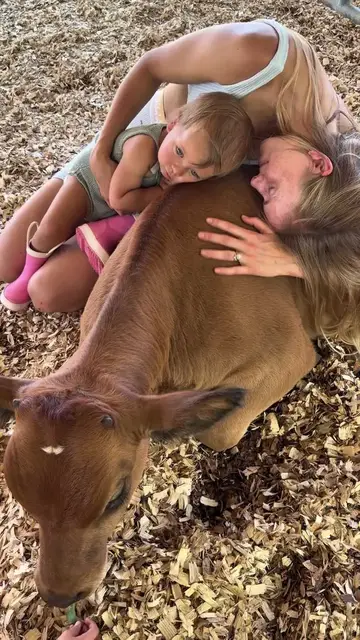 Video thumbnail for Family Bonding with Baby Cows at a Cow Cuddling Farm