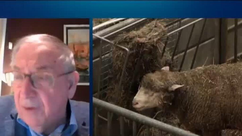 Video thumbnail for French farming crisis a result of ‘15 years of failure’ in policy, expert says