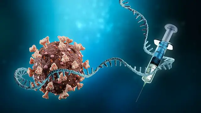 Video thumbnail for HIV VACCINE! WILL mRNA VACCINES LEAD TO HIV VACCINE_  SPIKE PROTEINS gp120, gp41 EXPLAINED!