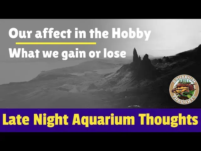 Video thumbnail for Our effect in Fishkeeping - Late Night Aquarium Thoughts