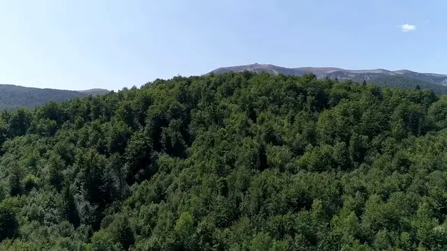 Video thumbnail for How to Propagate Succulents