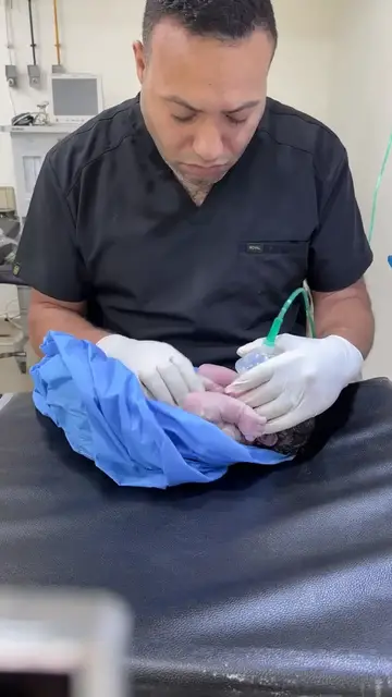 Video thumbnail for baby colour change and cry(720P_HD)