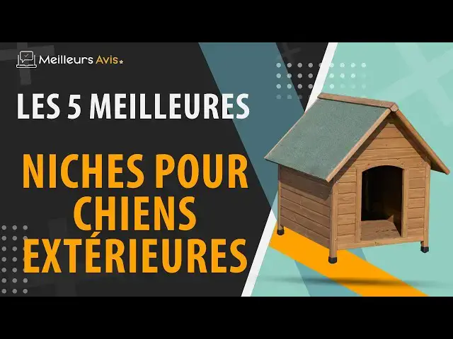 Video thumbnail for ⭐️ MEILLEURE NICHE POUR CHIEN EXTÉRIEUR - Comparatif 2024