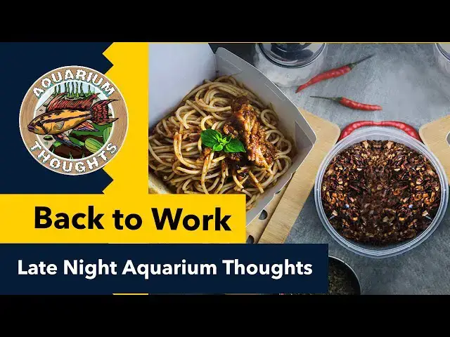 Video thumbnail for Got to get back to work hangout & chat