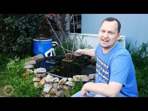 Video thumbnail for Outdoor Fishkeeping and Orbit B-Hyve Update