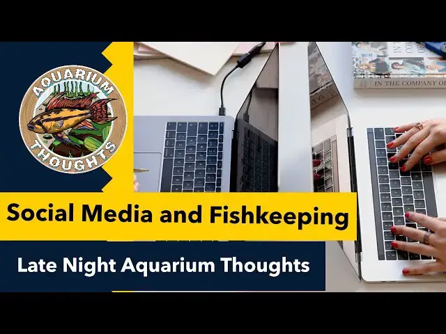 Video thumbnail for Social Media and Fishkeeping - Late Night Aquarium Thoughts