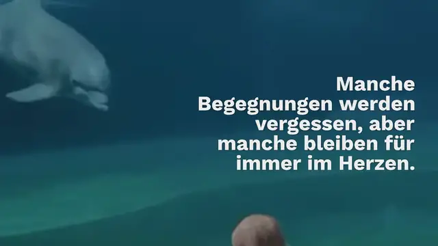 Video thumbnail for Eine besondere Begegnung: Was ein Mädchen und ein Delfin gemeinsam erleben, bleibt unvergesslich