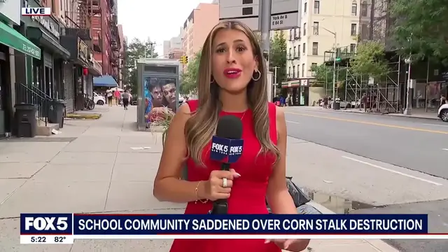 Video thumbnail for Kids' corn project chopped down on Upper East Side