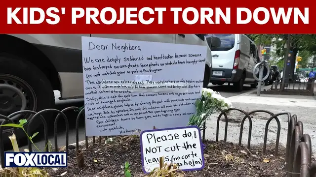Video thumbnail for Kids' corn project chopped down on Upper East Side