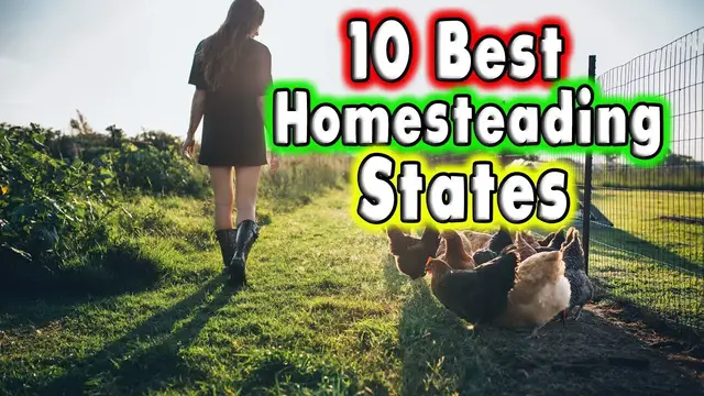 'Video thumbnail for Top 10 Best Homesteading States.'