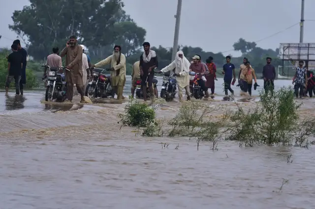 'Video thumbnail for Pakistan flooding: Farmers survey extensive damage to their crops'