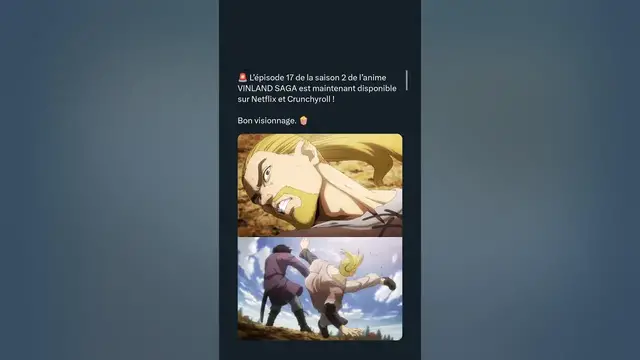 Video thumbnail for L’épisode 17 de la saison 2 de l’anime VINLAND SAGA est  disponible sur Netflix et Crunchyroll !