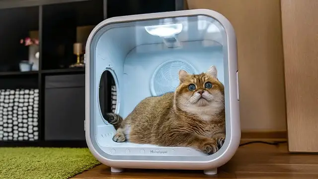 Video thumbnail for HOME GADGETS ON AMAZON YOU MUST BUY