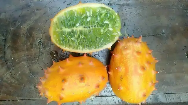 'Video thumbnail for Freshly cut kiwano/horned melon '