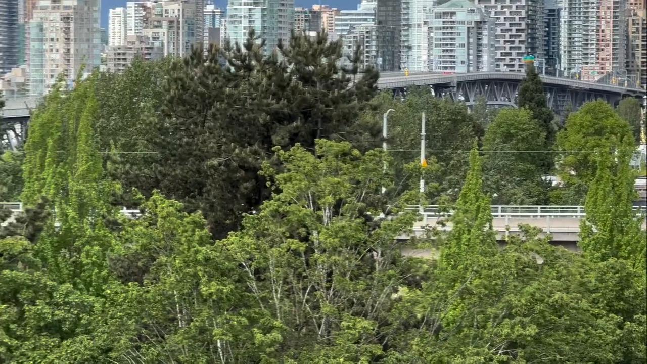 Video thumbnail for Canada: Granville Street Bridge Closed Due to Police Incident in Vancouver.