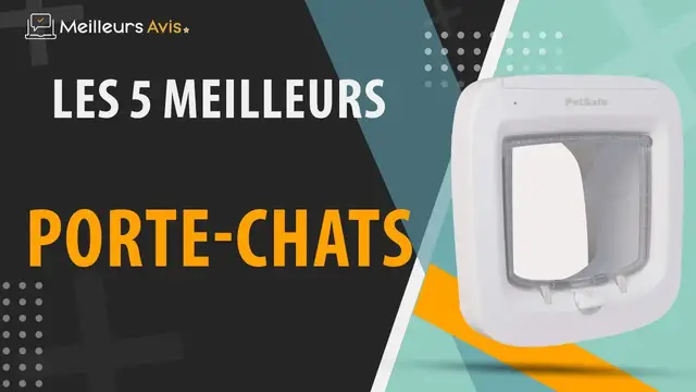 Video thumbnail for ⭐️ MEILLEUR PORTE-CHAT - Avis & Guide d'achat (Comparatif 2023)