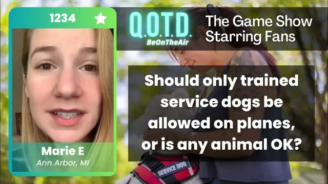 Video thumbnail for Our Favorite Answers: Marie says any service animal should be allowed on planes. Wise!