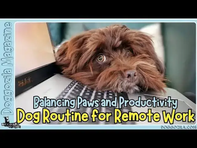 Video thumbnail for Guide for Dog Parents When They Work from Home