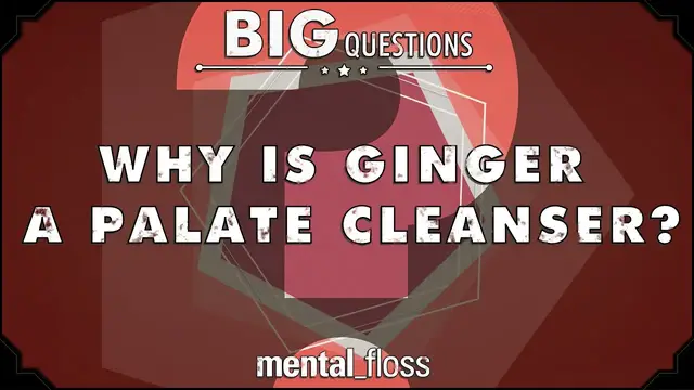 'Video thumbnail for Why is ginger a palate cleanser? - Big Questions - (Ep. 38)'