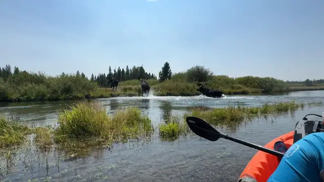 Video thumbnail for Three Charging Across the River