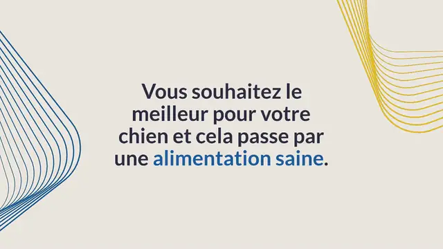 Video thumbnail for Les 10 meilleures croquettes sur mesure pour chien en 2024