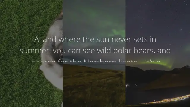 Video thumbnail for 9 Norwegian Dog Breeds (With Pictures!)