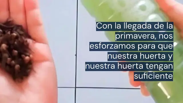 Video thumbnail for Cómo hacer un aspersor de goteo casero: 10 centavos es todo lo que necesita