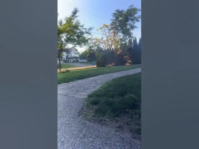 Video thumbnail for Subscribe for more!!! #cleancar #automobile #shortsfeed #foryou