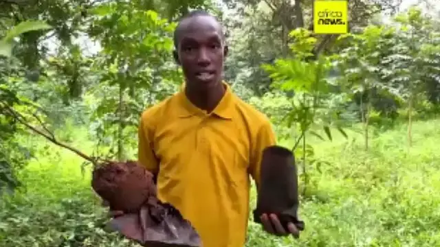 'Video thumbnail for Kenyan engineer turns deadly water hyacinth into eco-friendly innovation'