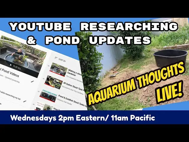 Video thumbnail for YouTube Researching - Aquarium Thoughts LIVE! #2011