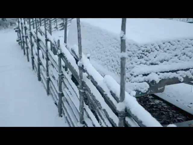 Video thumbnail for Tree fence in winter snow