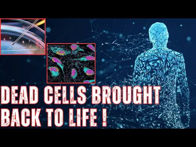Video thumbnail for Cells Can Exist In A Third State Beyond Life And Death: Shocking Study Reveals.