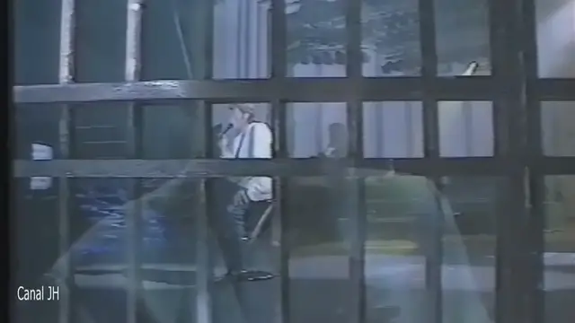 Video thumbnail for Johnny Hallyday - Mirador - 1989