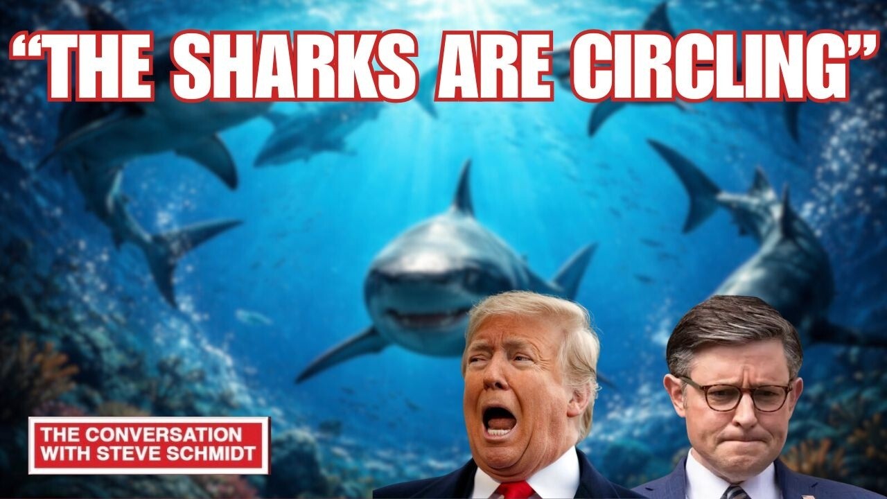 Video thumbnail for Steve Schmidt & Harry Dunn: "Donald Trump Is Unhinged And Evil"