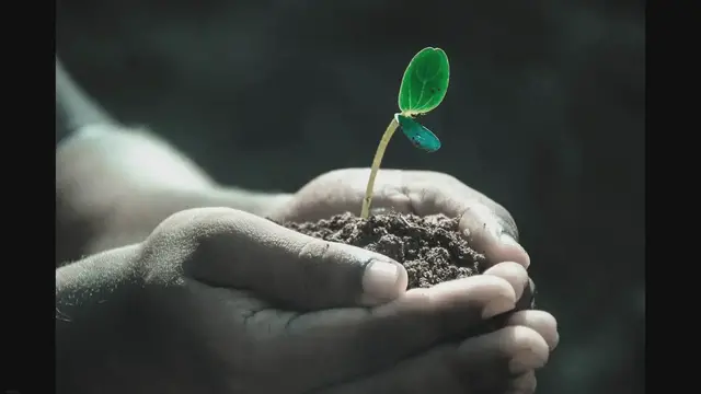 Video thumbnail for John Adams Morgan: Exploring the Life of a Prominent Figure