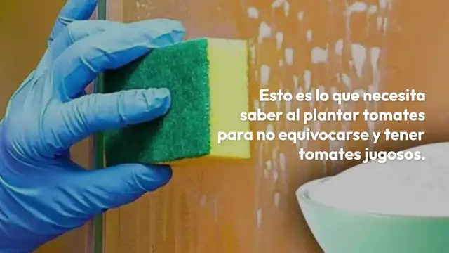 Video thumbnail for ¿Cuándo se siembran los tomates? Ten cuidado de no perderte el mes si quieres que sean jugosos