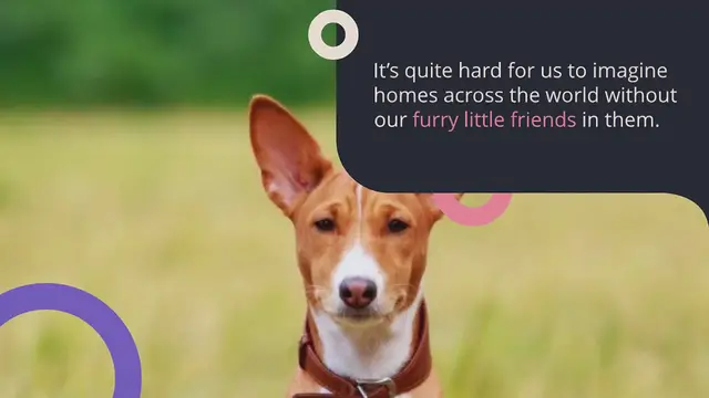 Video thumbnail for 16 oldest dog breeds in the world