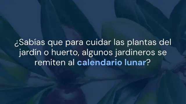 Video thumbnail for Jardinería con la luna: el calendario lunar de febrero de 2023