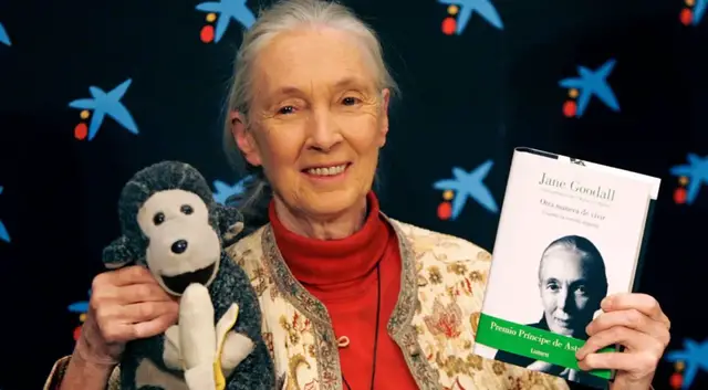 'Video thumbnail for Jane Goodall, conservationist and chimpanzee expert, dies aged 91'