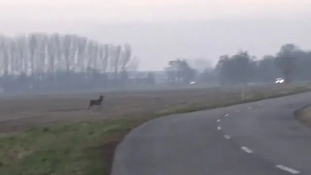 Video thumbnail for _zek_Darn_zseli_720P