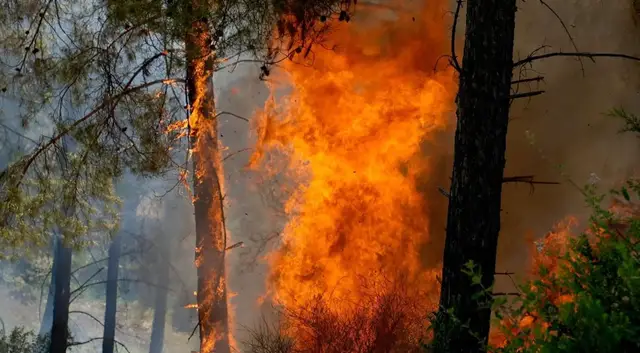 Video thumbnail for Wildfires rage across Europe as record land burns in EU this year
