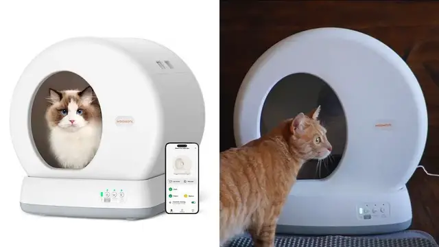 Video thumbnail for MeoWant Self-Cleaning Cat Litter Box Review