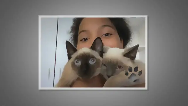 Video thumbnail for What’s Special About Siamese Cats?