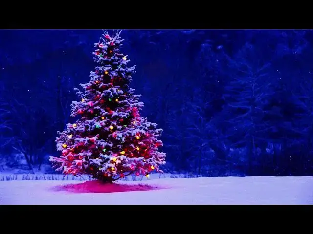 Video thumbnail for Christmas Tree Snow Lights