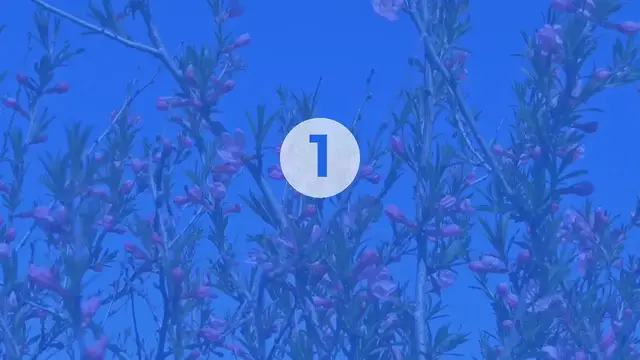 Video thumbnail for How to Choose Shrubs for Your Climate