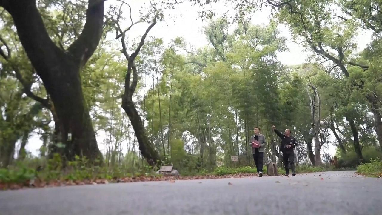 Video thumbnail for China: Birdwatching tourism revenue funds migratory bird protection in China.