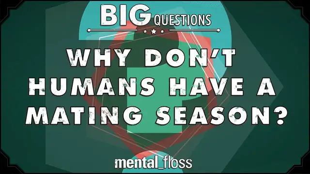 'Video thumbnail for Why don't humans have a mating season? - Big Questions - (Ep. 23)'