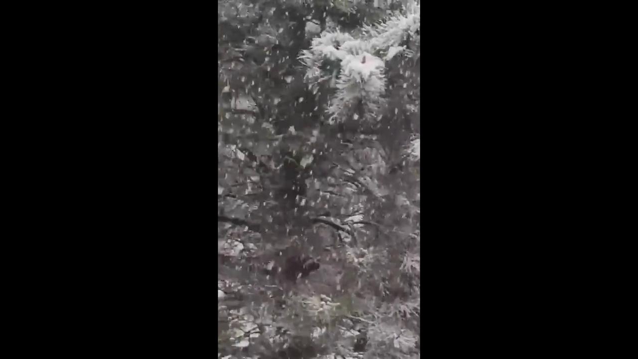 Video thumbnail for US Weather: Late Spring Snow In Idaho Springs, CO.