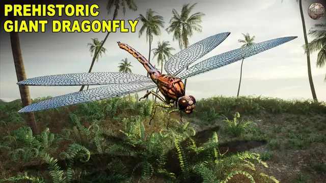 Video thumbnail for Meganeura' - The Prehistoric Dragonfly With A Two-Foot Wingspan