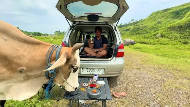Video thumbnail for Hungry Cow Crashes Picnic and Helps Itself to Snacks in Indonesia